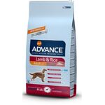  Advance Adult Lamb&amp;Rice  12 кг, фото 1 