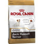  Royal Canin Jack Russell Terrier Junior  0,5 кг, фото 1 