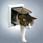  Trixie Дверца для кошки с 4 функциями, белая 38641  бел., фото 1 