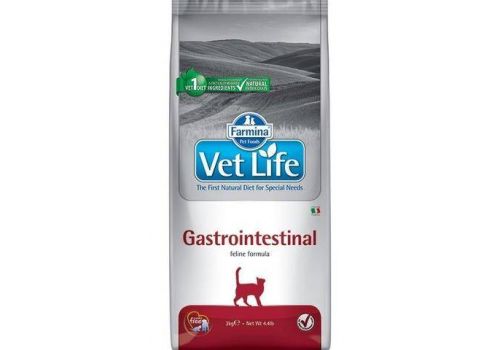  Farmina Vet Life Cat Gastrointestinal 2 кг, фото 1 
