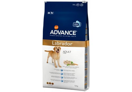  Advance Labrador Retriever  12 кг, фото 1 