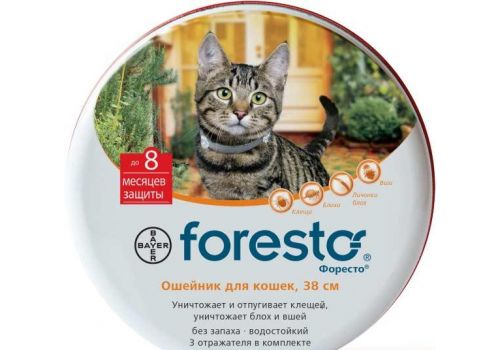  Bayer Форесто, ошейник для кошек (от блох, клещей, вшей и власоедов)  38 см, фото 1 