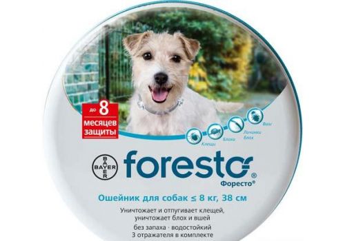  Bayer Форесто, ошейник для мелких пород собак (от блох, клещей, вшей и власоедов)  38 см, фото 1 
