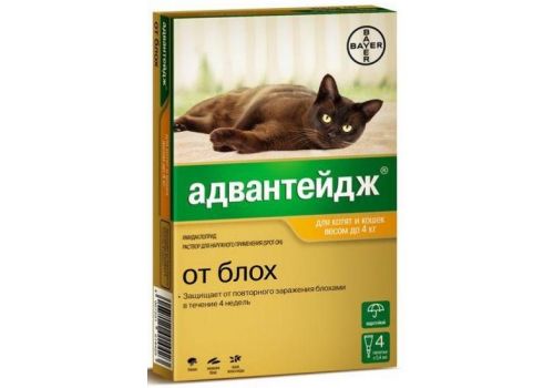  Bayer Адвантейдж для кошек до 4кг, уп. 4 пип. х 0,4 мл  4 п, фото 1 